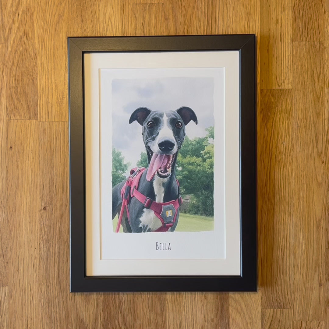 Video of Pet Portrait with Name