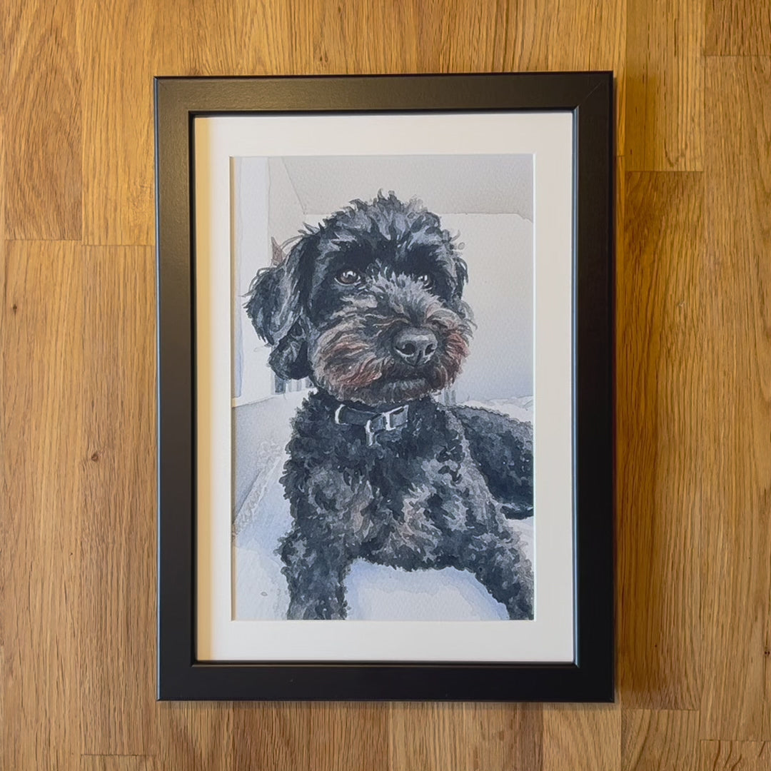 Video of Pet Portrait